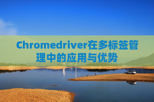 Chromedriver在多标签管理中的应用与优势 Chromedriver在多标签管理中的应用与优势